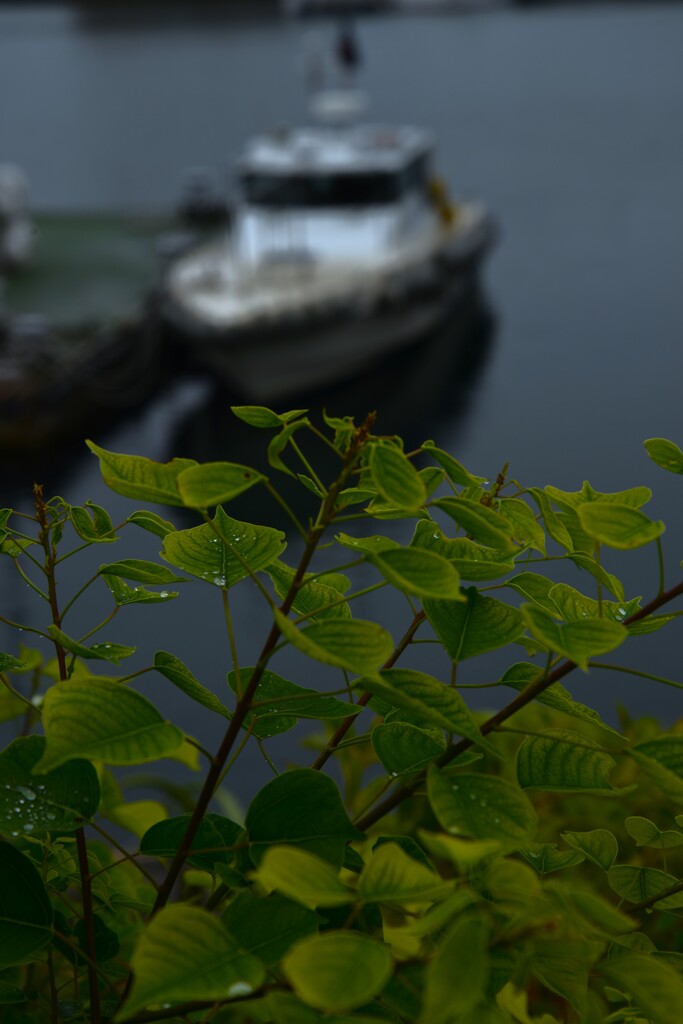冷たい雨　➁。。。！