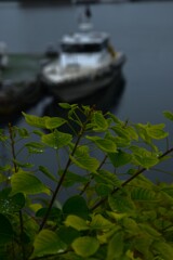 冷たい雨　➁。。。！