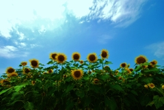 真夏に、負けるな。。。！