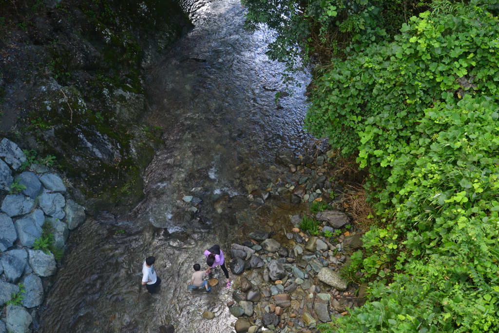 親子の夏休み。。。！