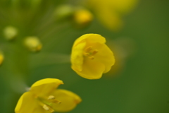 北風の向こうに　➂。。。！