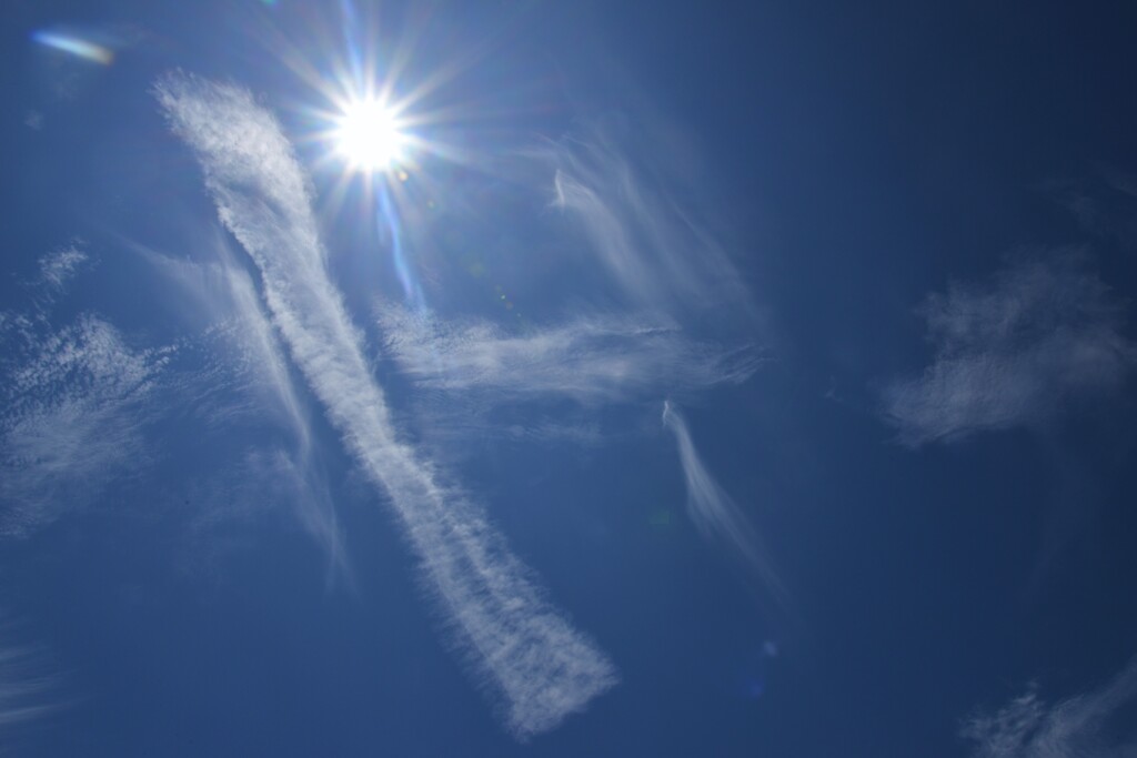 台風一過の後で　①。。。！