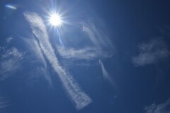 台風一過の後で　①。。。！