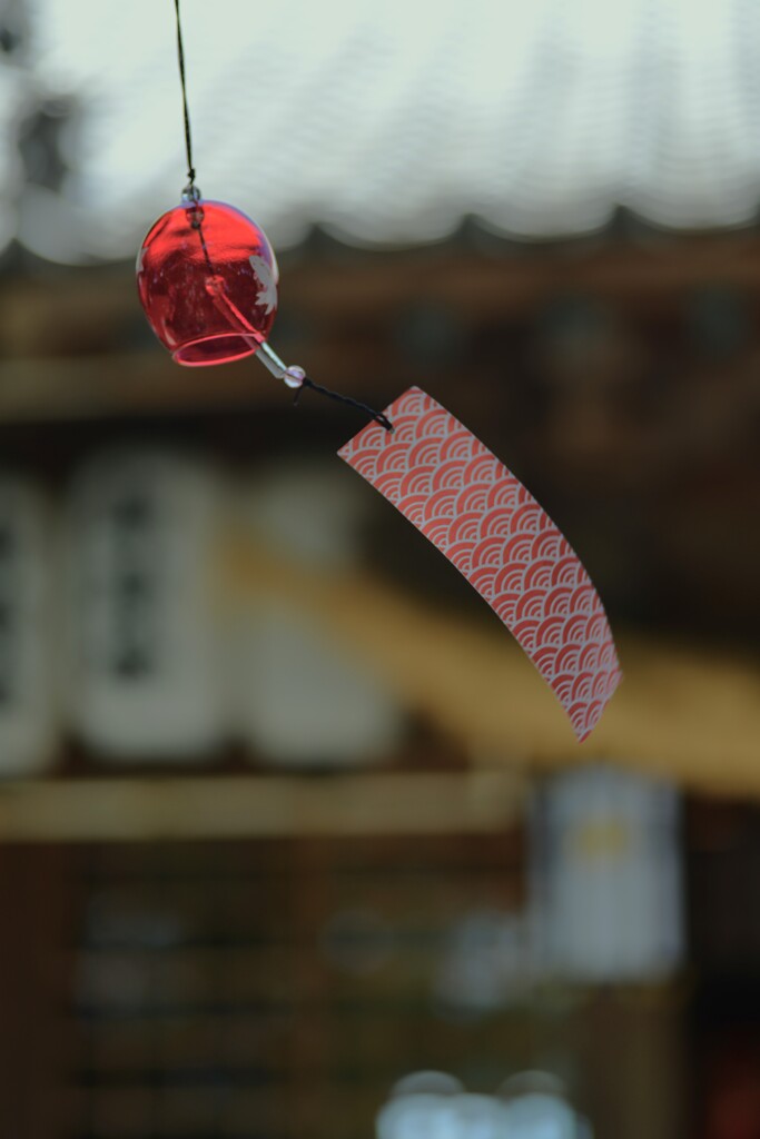 三色の涼風　➂。。。！