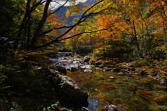 金色の小田深山　①。。。！