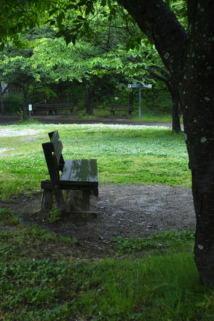 雨の公園　⑤。。。！