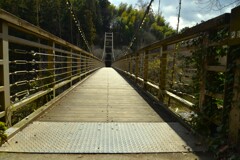 春せせらぎの小径　➁。。。！