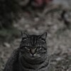 何か問題でも。。。？
