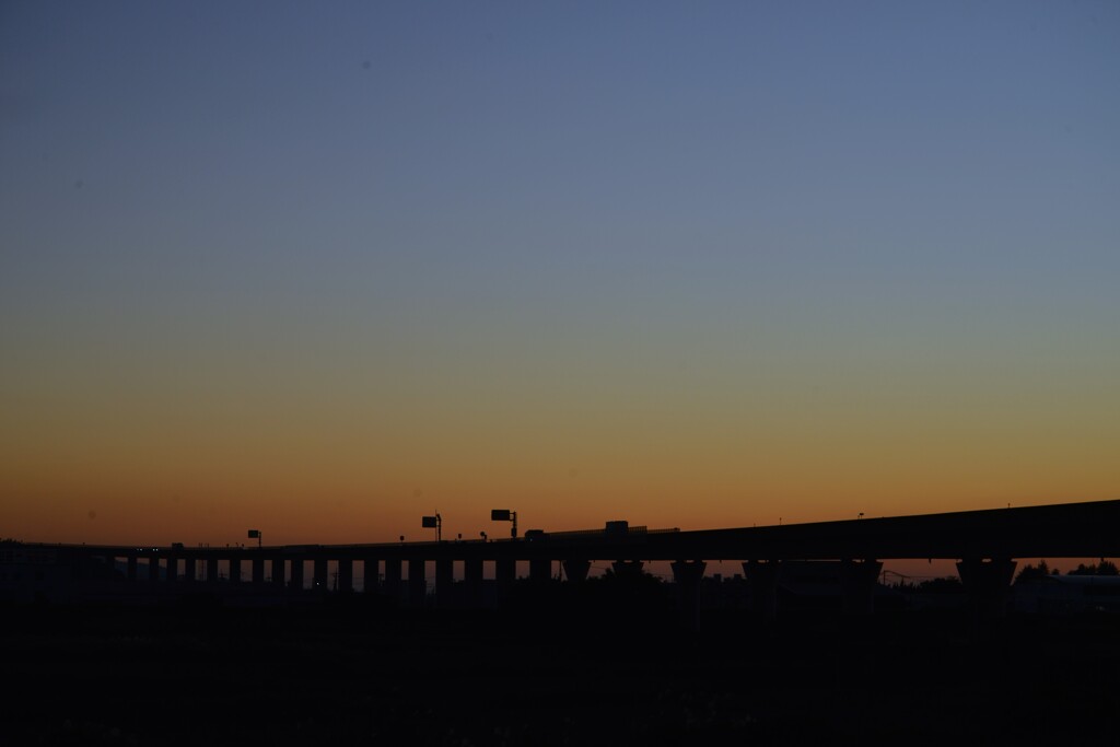 秋暮れの河川敷　➂。。。！