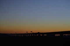 秋暮れの河川敷 ➂。。。! 秋暮れの河川敷 ➂。。。!