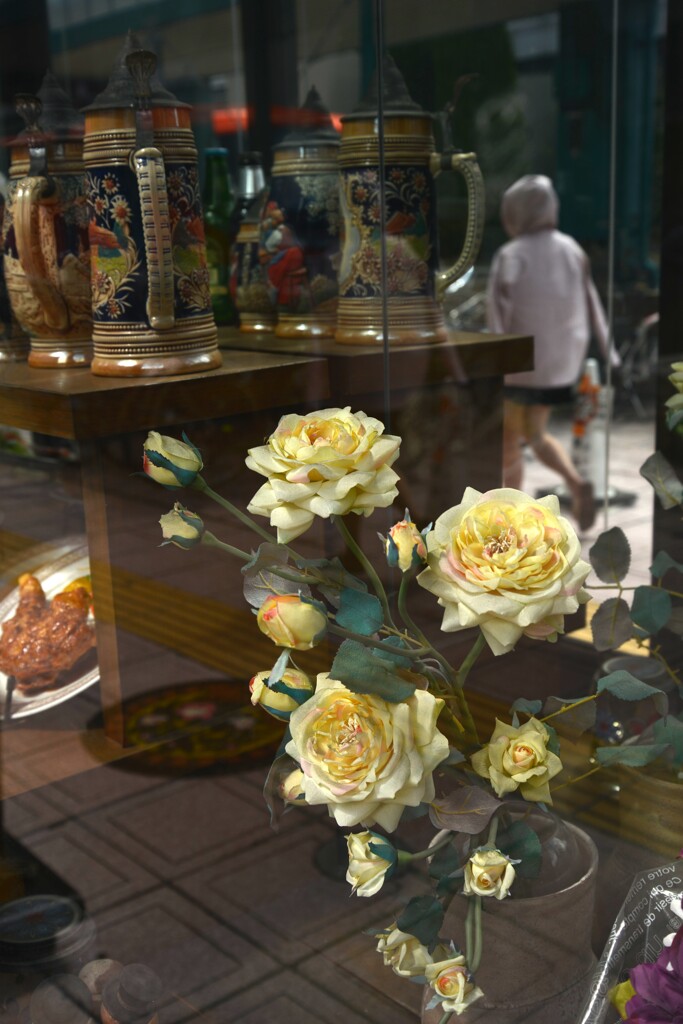 秋のショーウィンドウ　➁。。。！