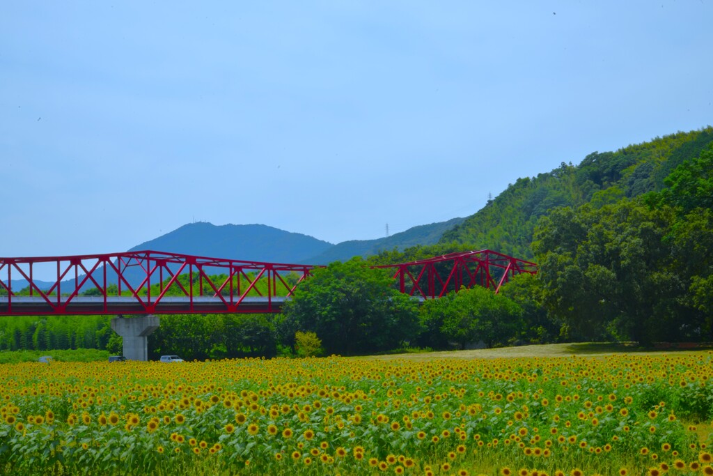 肱川の赤橋　②。。。！