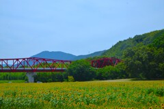 肱川の赤橋　②。。。！