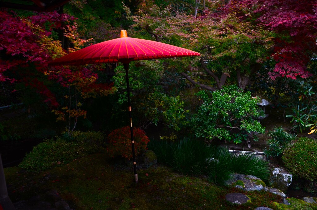 紅葉の庭　（２）。。。！