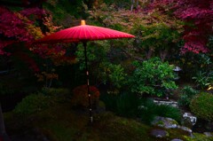 紅葉の庭　（２）。。。！