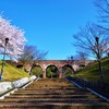 アーチ橋と桜。。。！