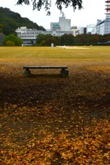 深秋の公園　②。。。！