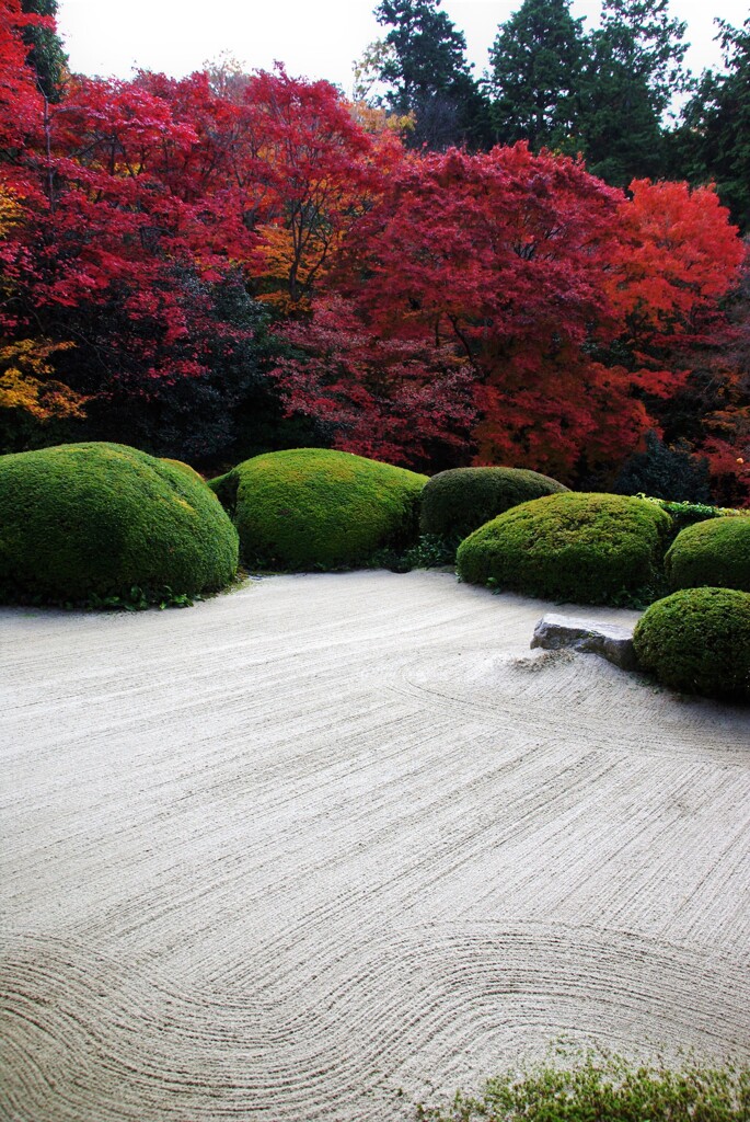 紅葉と美の風景　②。。。！