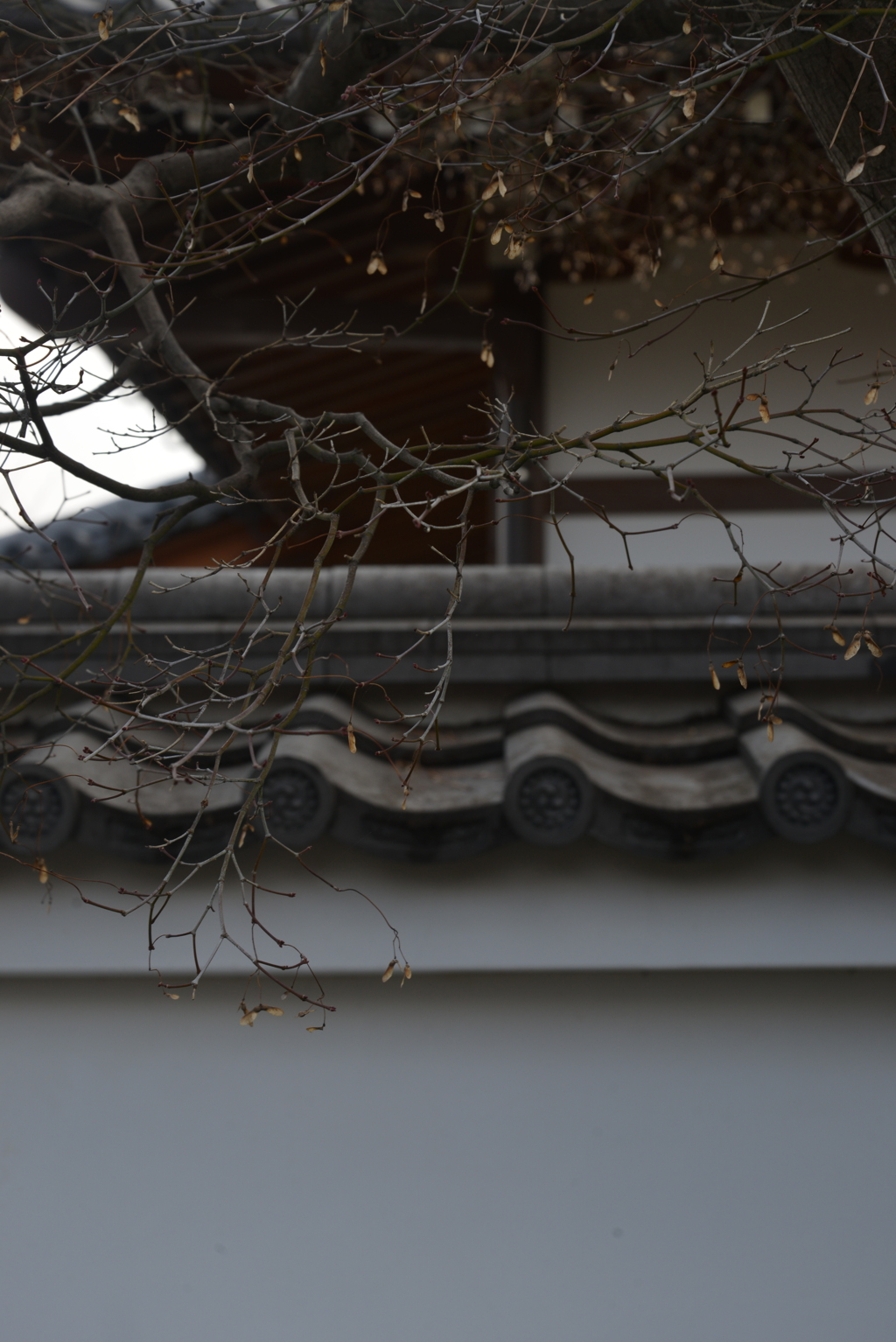 春を待つ　②。。。！