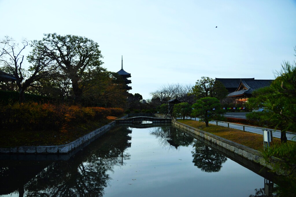 朝の東寺　①。。。！