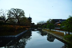 朝の東寺　①。。。！