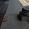 初夏の山寺　②。。。！
