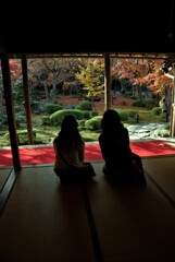 お庭を愛でる。。。！