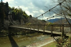 春せせらぎの小径　①。。。！