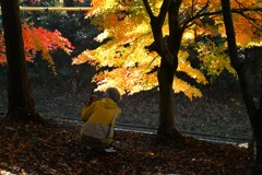 金色に輝く時　②。。。！