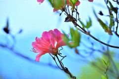 紅の魅惑。。。！