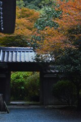 古刹②　西山興隆寺　②。。。！