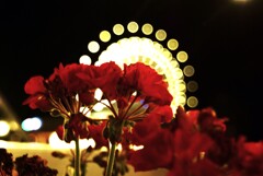 あの日．．咲く花　④。。。！