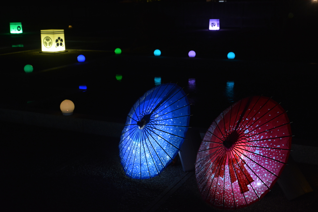 初冬の二の丸庭園　⑥。。。！