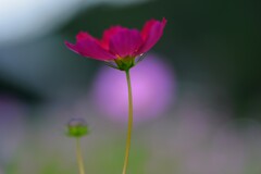 秋色　②。。。！