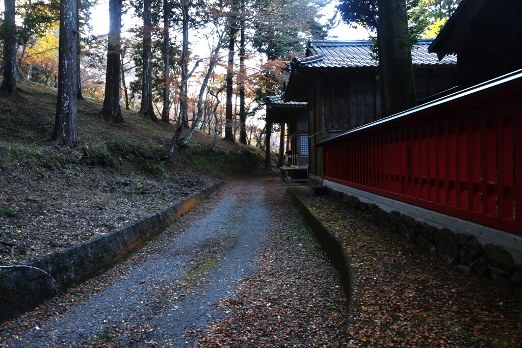 淋しい秋の終わり　➂。。。！