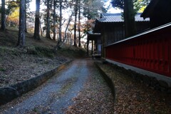 淋しい秋の終わり　➂。。。！