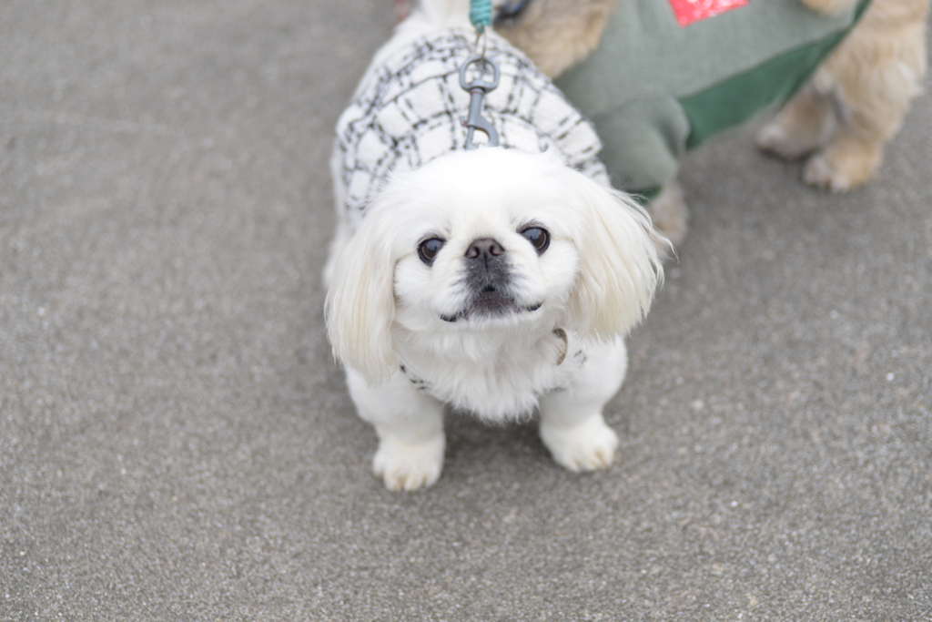 小さな公園　➁。。。！