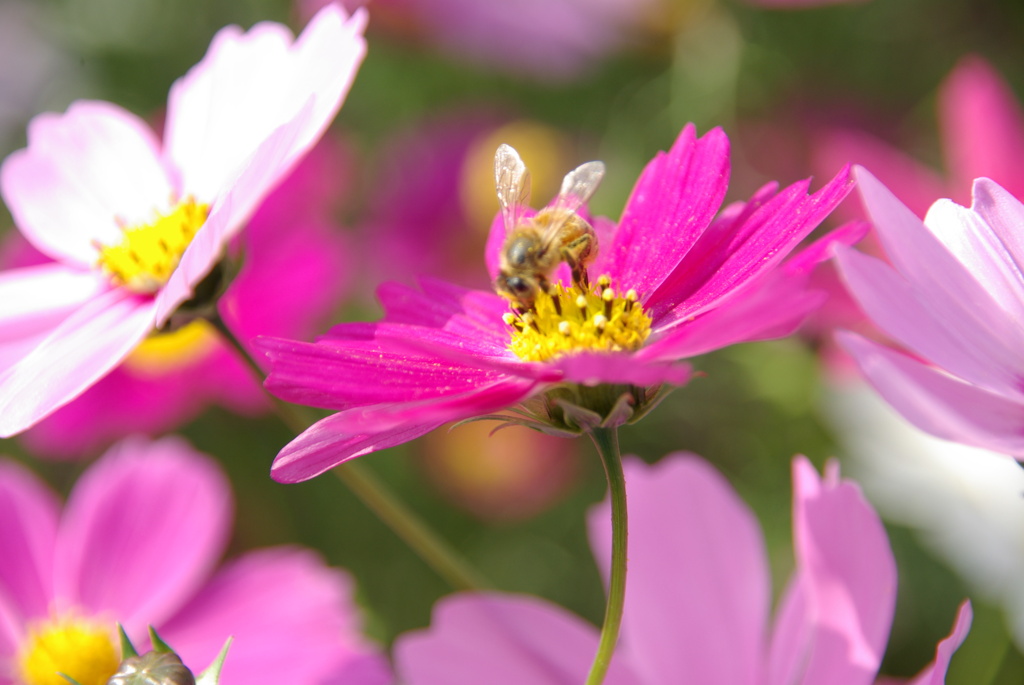 お邪魔します、、今年も宜しく！！