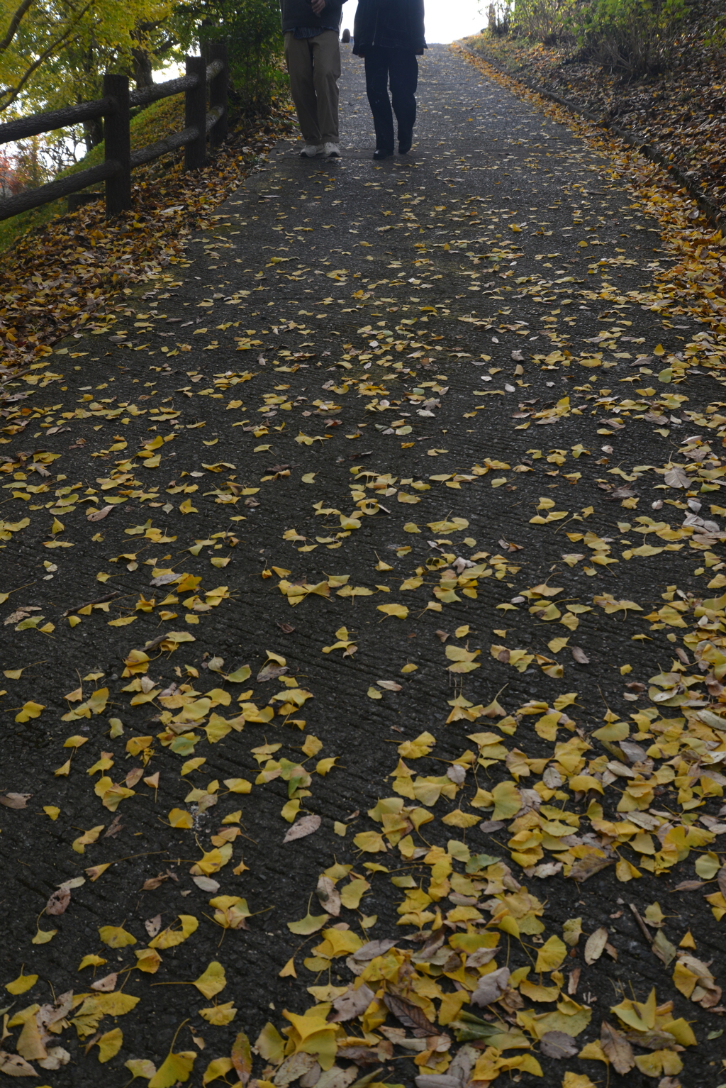 ゆく秋を惜しむ　②。。。！