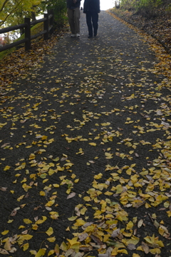 ゆく秋を惜しむ　②。。。！