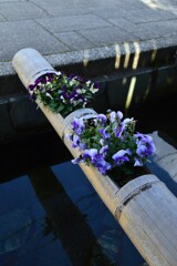 早春の大洲　④。。。！