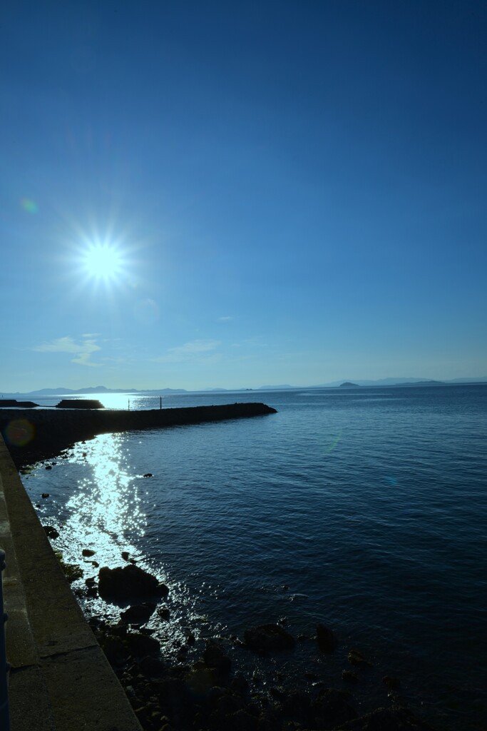 海は太陽のキャンパス。。。！