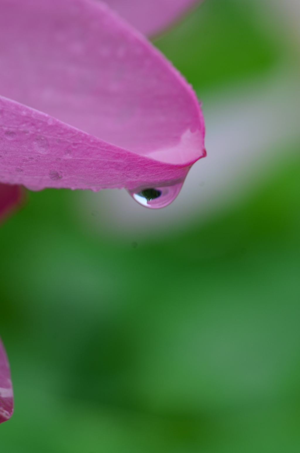雨粒メロディー　➂。。。！