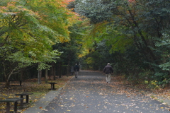 秋の日のさんぽ道　①。。。！
