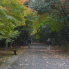 秋の日のさんぽ道　①。。。！