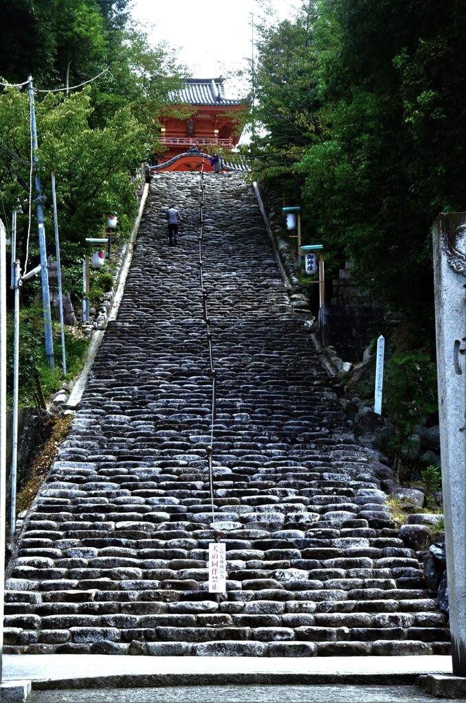 道後．．伊佐爾波神社　➂。。。！