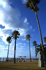 あの夏の日はどこへ　①。。。！