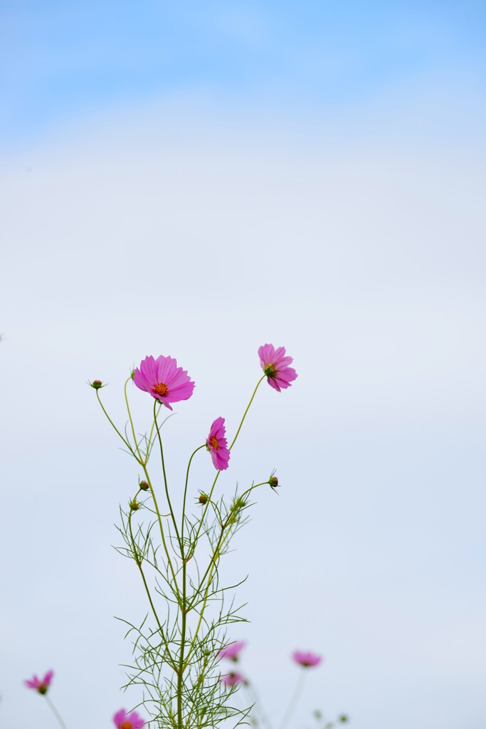 秋に埋もれて　➂。。。！