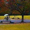 深秋の公園　①。。。！
