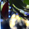 煌めきに集う　①。。。！